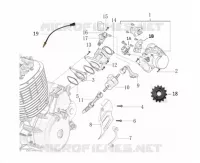MOTOR / EINSPRITZUNG / ZAHNRADWECHSELPEDAL