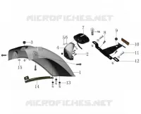 KOTFLÜGEL / RÜCKLICHT
