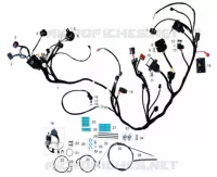 ELEKTRISCHE KOMPONENTEN / KABEL