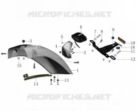 KOTFLÜGEL / RÜCKLICHT