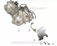 MOTOR / KETTENRADABDECKUNG VORNE