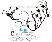 ELEKTRISCHE KOMPONENTEN / KABEL