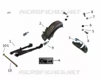 SCHWINGE / KOTFLÜGEL HINTEN