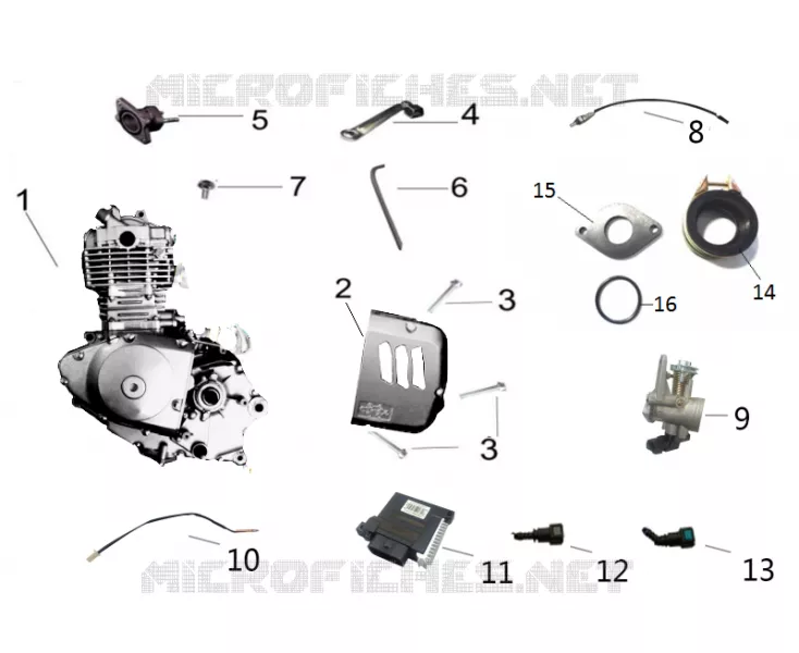 MOTOR