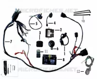 ELEKTRIC