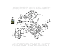 MOTOR / VERGASER