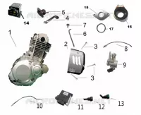 MOTOR TEILE