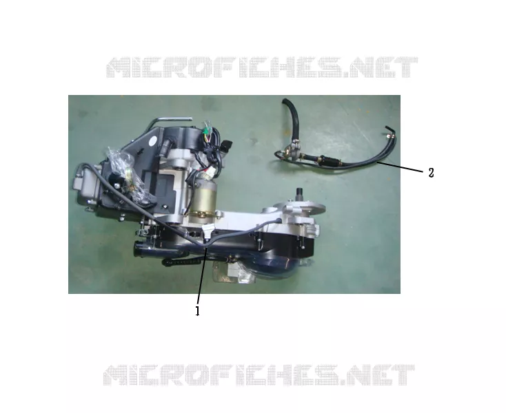 MOTOR
