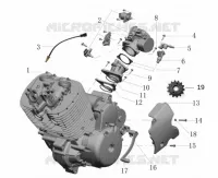 MOTOR / EINSPRITZUNG / ZAHNRADWECHSELPEDAL