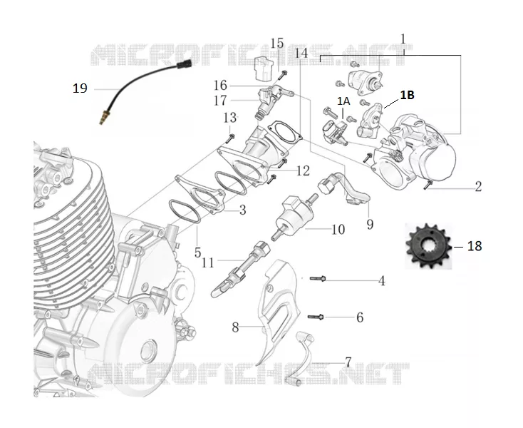 MOTOR / EINSPRITZUNG / ZAHNRADWECHSELPEDAL