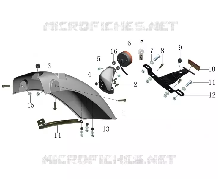 KOTFLÜGEL / RÜCKLICHT
