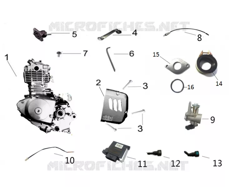 MOTOR