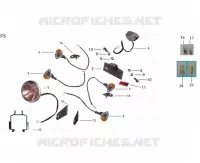 RÜCKLICHT / SCHEINWERFER / BLINKER